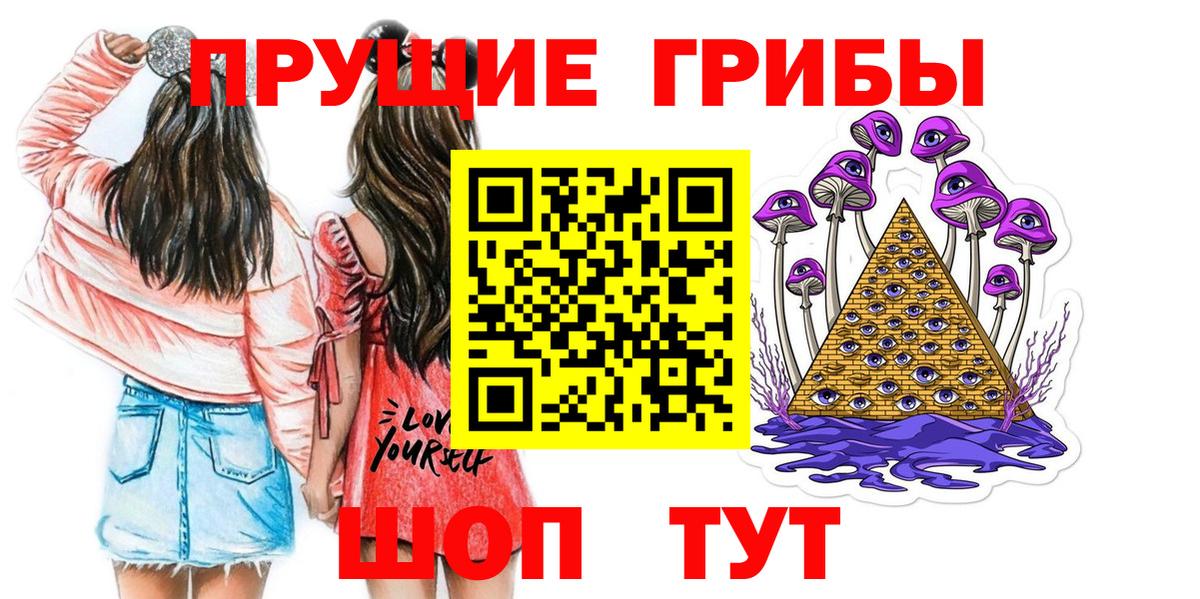 Галлюциногенные грибы Psilocybe Гурьевск
