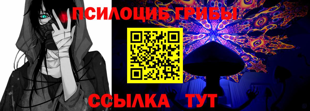 Псилоцибиновые грибы MAGIC MUSHROOMS  Вход с VPN  Псилоцибиновые грибы GOLDEN TEACHER  Гурьевск 